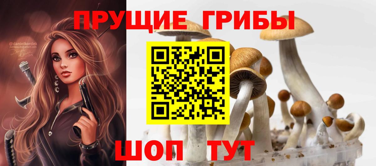 Новотроицк  Галлюциногенные грибы мухоморы  Вход с VPN 